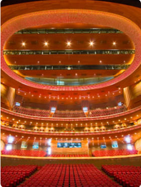  �Ϻ��������š�������